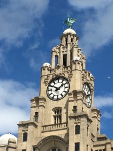 Liver Building